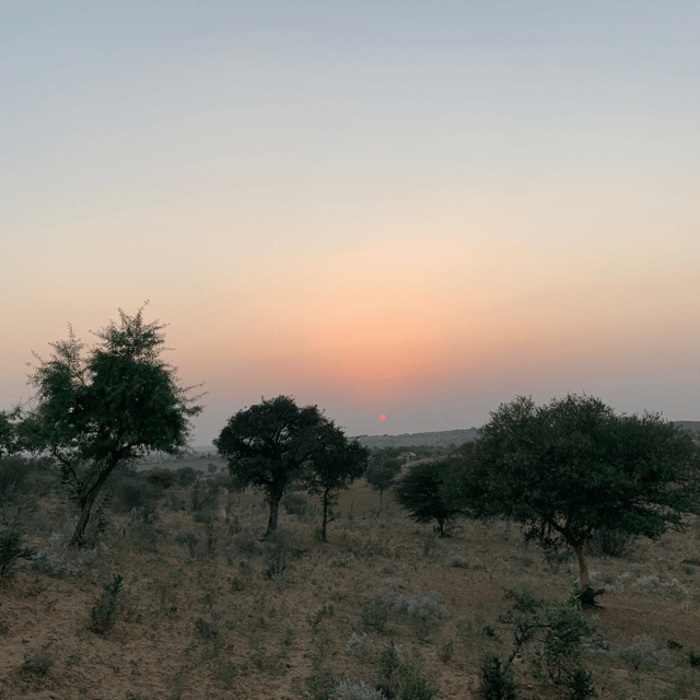 Desert Safari In Jodhpur - Frequently Asked Questions
