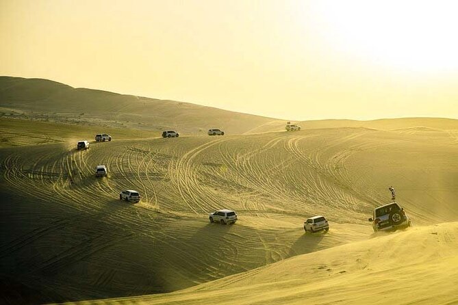 Desert Safari Inland Sea Private Tour - Camel Ride Experience