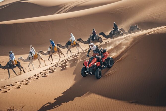 Desert Safari Qatar - Pricing