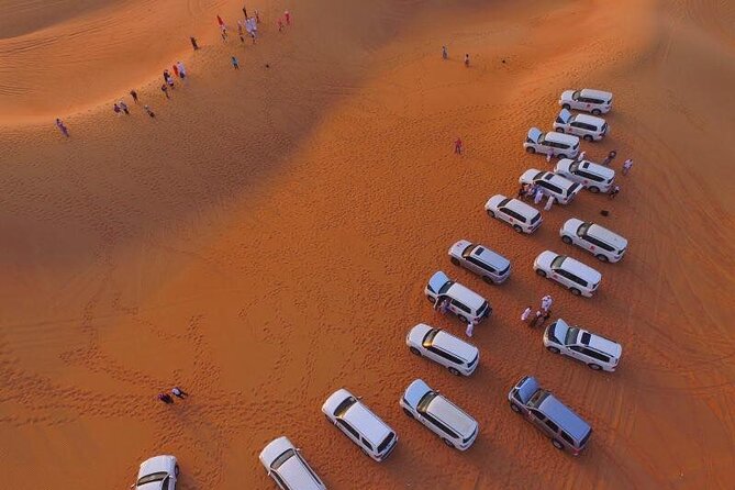 Desert Safari Qatar - Camel Riding and Falcon Pictures