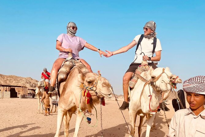 Desert Safari Quad 3 Hour ( ATV ) - Hurghada - Camel Ride and Bedouin Tea