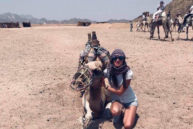 Desert Safari Quad 3 Hour ( ATV ) - Hurghada - Traditional Tea and Water