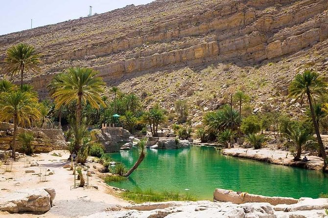 Desert Safari Sharing Tours - Customer Reviews