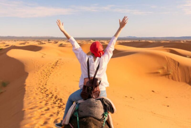 Desert Safari & Tour - Experience Highlights