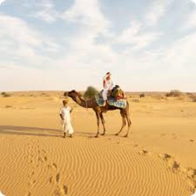 Desert Safari & Tour - Meeting Point