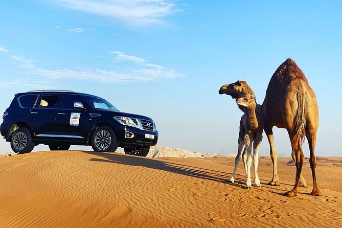 Desert Safari With BBQ Dinner, Quad Bike & Camel Ride From Dubai - Camel Riding and Sandboarding