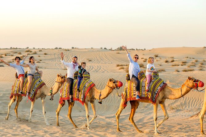 Desert Safari With Camel Ride and Dinner - Reviews and Ratings