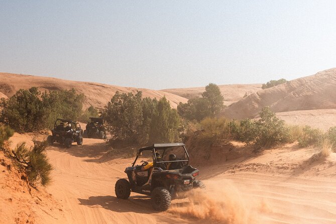 Desert Safari With Camel Ride, BBQ Dinner, Sand Board & Live Show - Health Considerations