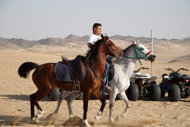 Desert Safari With Quad Bike Tours Jeddah - Pricing and Value