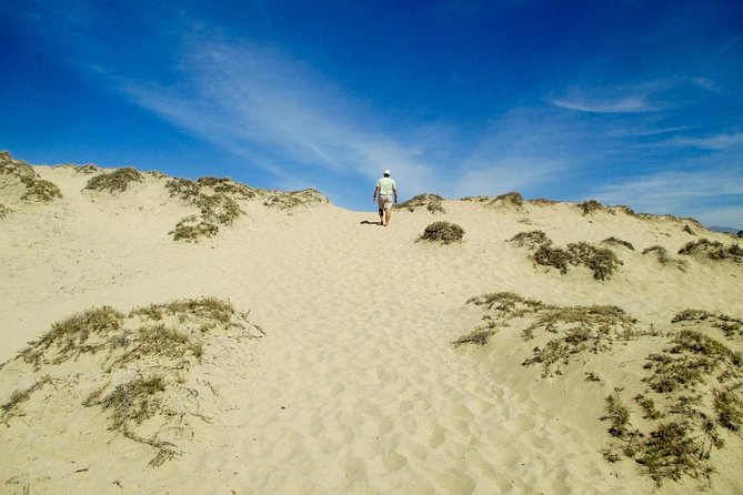 Desert Sahara Sand Dunes in Agadir - Inclusions