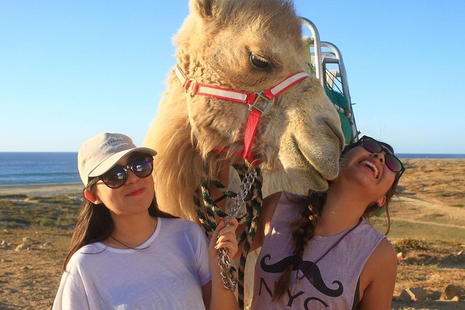 Desert & Sea, Camel Safari Tour in Los Cabos With Lunch - Delectable Lunch