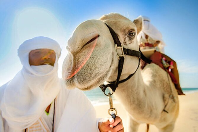 Desert & Sea, Camel Safari Tour in Los Cabos With Lunch - Tequila Tasting