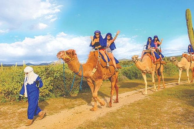 Desert & Sea, Camel Safari Tour in Los Cabos With Lunch - Pickup and Participation