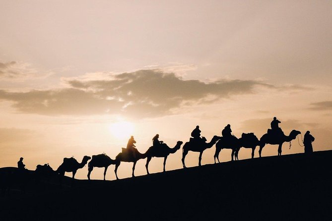 Desert Sunset Camel Ride With Free Tea in The Desert Camp - Camel Ride Experience