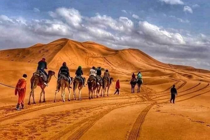 Desert Tour From Marrakech - Dining Experiences