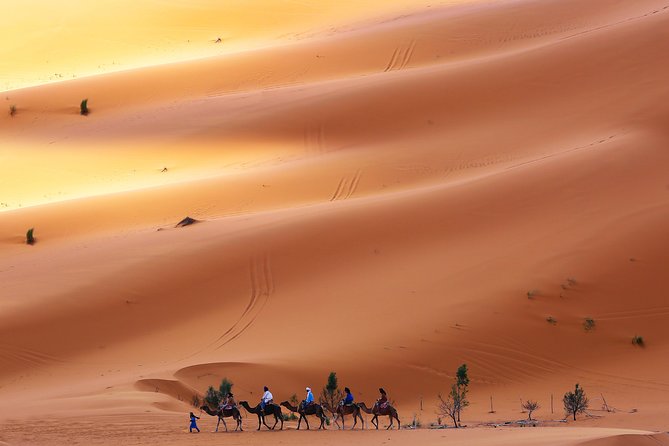 Desert Tour Marrakech Merzouga 3 Days / 2 Nights - Schedule