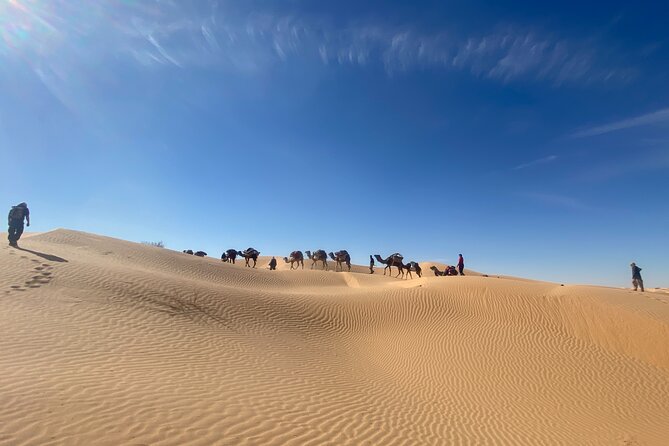 Desert Tours and Adventurous Camel Trekking Through the Sahara - Meals Included