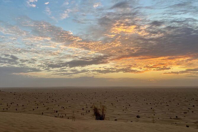 Desert Tours and Adventurous Camel Trekking Through the Sahara - Booking Information