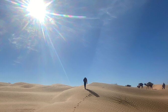 Desert Tours and Adventurous Camel Trekking Through the Sahara - Exploring the Sahara