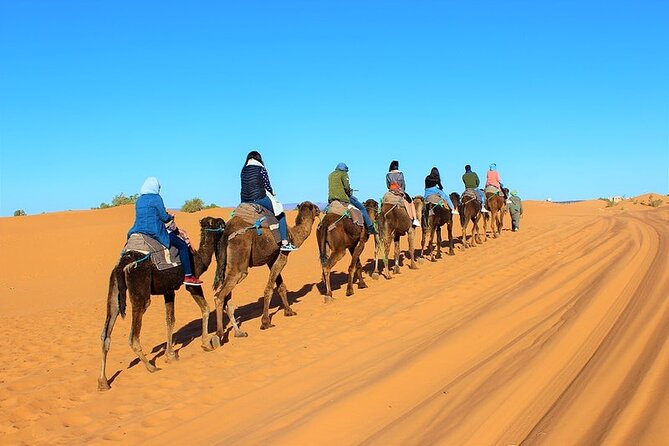 Desert Trip: Fès-Merzouga (1 Night) - Ouarzazat (1 Night) - Marrakech - Gorge Exploration