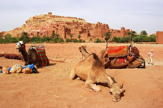 Desert Trip in Morocco Three Days Merzouga - Inclusions