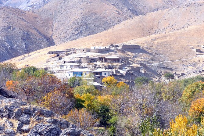 Desert Yurt Camp and Mountain Tour - 3 Days - Good To Know