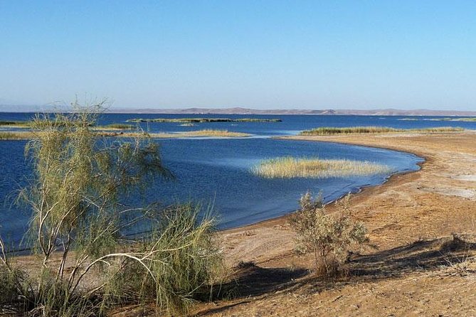 Desert Yurt Camp Tour - 2 Days (Shared) - Tour Overview