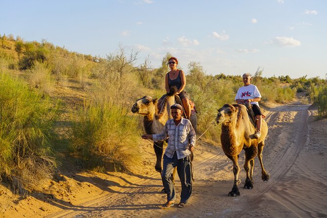Desert Yurt Camp Tour - 2 Days (Shared) - Traveler Feedback