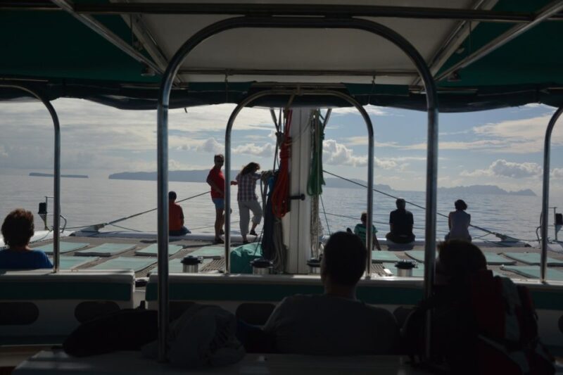 Desertas Islands Full-Day Catamaran Trip From Funchal - Key Points