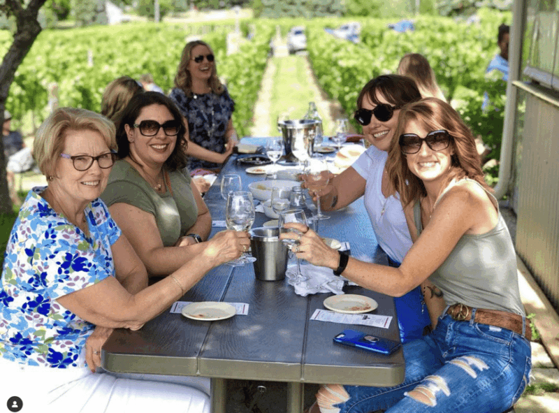 Designated Driver For Wine Tours - Traverse City - Experience Highlights