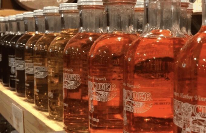 Designated Driver For Wine Tours - Traverse City - Frequently Asked Questions