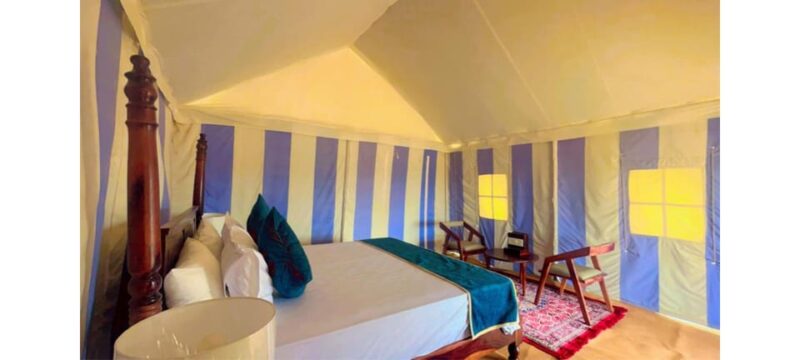 Dessert Dunes Stay With Jeep Safari on Dunes & Camel Safari - Jeep Safari and Camel Safari