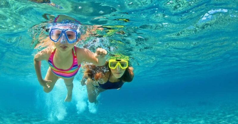 Destin: 2 Stop Snorkeling and Dolphin Watching Cruise - Key Points