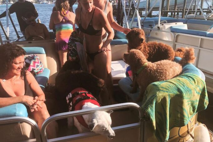 Destin: 4-Hour Self-Driving Pontoon Rental - Relaxing on Modern Pontoon Boats