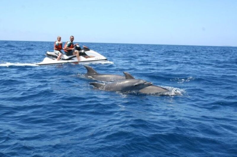 Destin: Crab Island Dolphin Watching Jet Ski Tour - Requirements and Restrictions