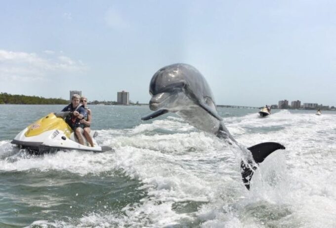 Destin: Crab Island Dolphin Watching Jet Ski Tour - Dolphin Sightings and Water Activities