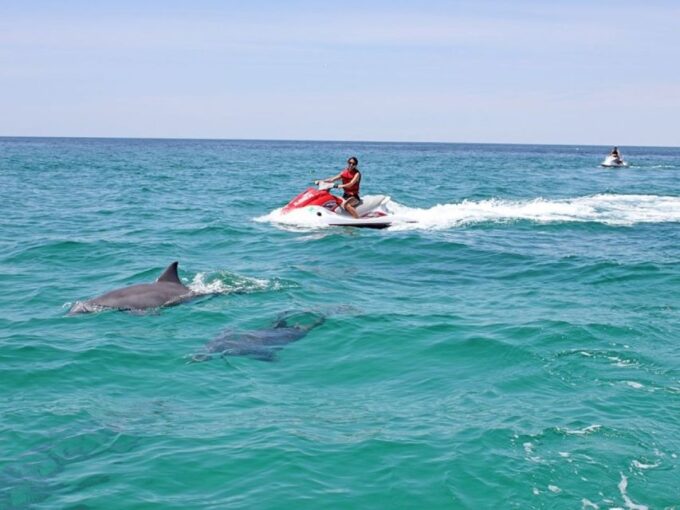 Destin: Crab Island Dolphin Watching Jet Ski Tour - Frequently Asked Questions