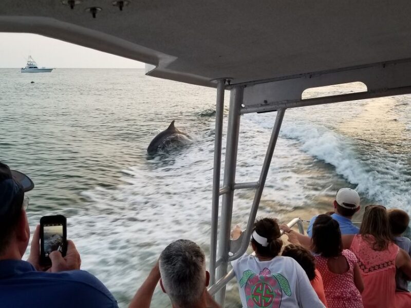 Destin: Dolphin Watching Cruise - Key Points