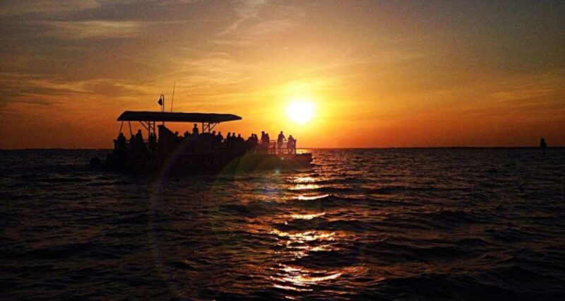 Destin: Dolphin Watching Cruise - Destin Harbor and the Coastline