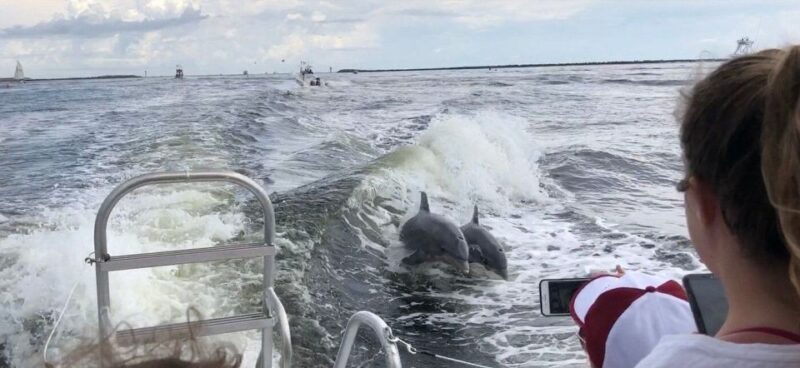 Destin: Dolphin Watching Cruise - Dolphin Sightings and Photographic Opportunities