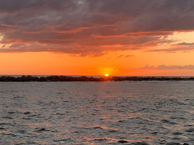 Destin: Dolphin Watching Cruise - Expertise and Credentials of the Crew