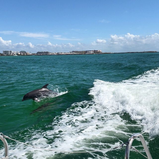 Destin: Dolphin Watching Cruise - Frequently Asked Questions