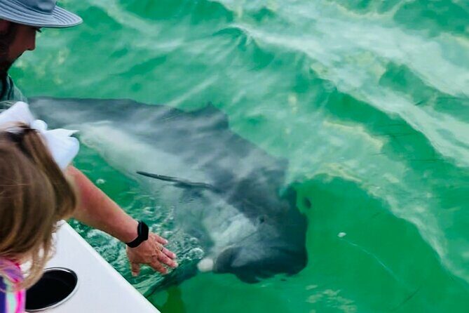 Destin Private Boat Tours Dolphin Crab Island Snorkel Sunset - Frequently Asked Questions