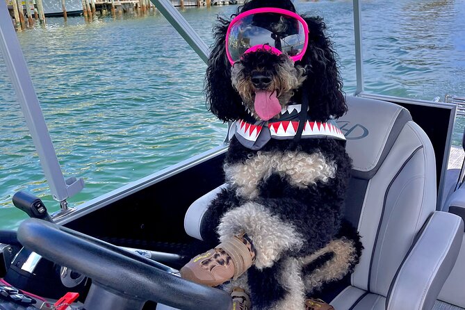 Destin- Private Chartered Slide Pontoon Boat-Up to 6 Guests - Pricing and Booking Information