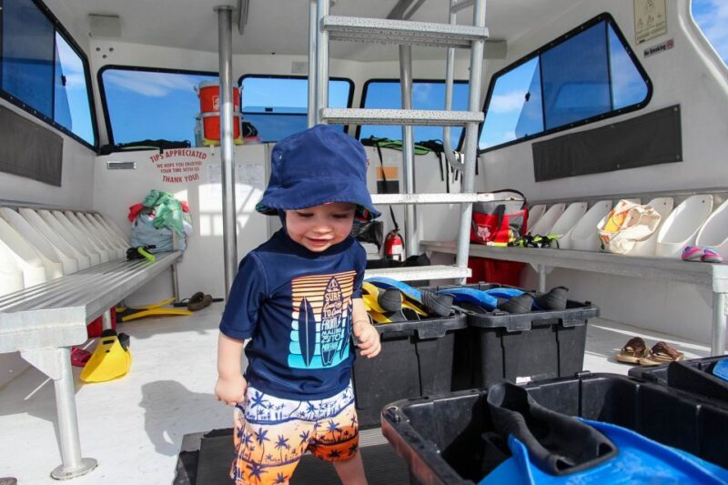 Destin: Snorkeling and Dolphin Watching Cruise - Experience Highlights