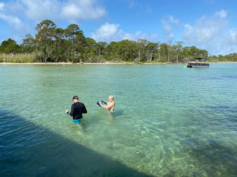 Destin: Snorkeling and Dolphin Watching Cruise - Important Information