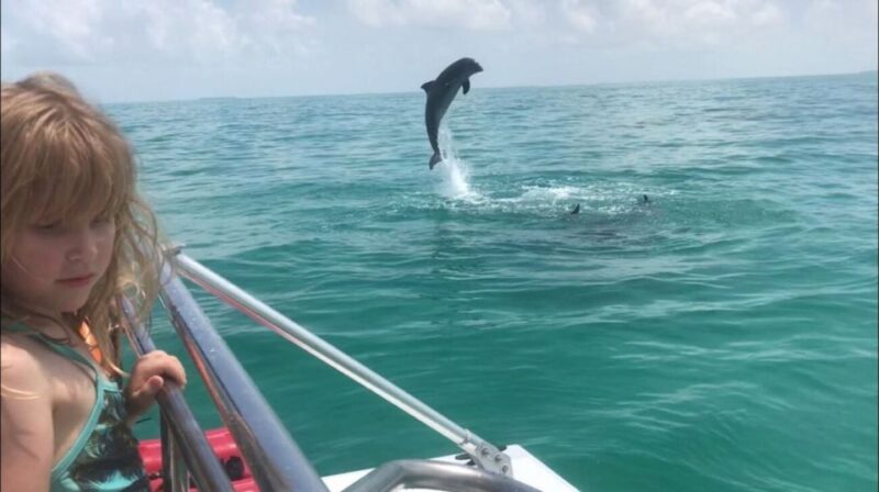Destin: Snorkeling and Dolphin Watching Cruise - Customer Feedback