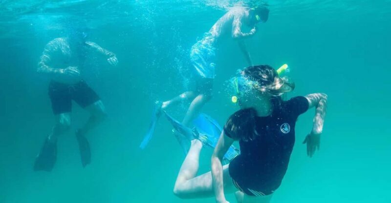 Destin: Snorkeling, Dolphins, and Crab Island - Key Points