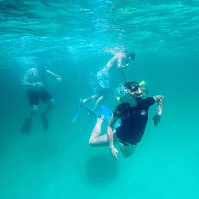 Destin: Snorkeling, Dolphins, and Crab Island - An Inside Look at the Experience