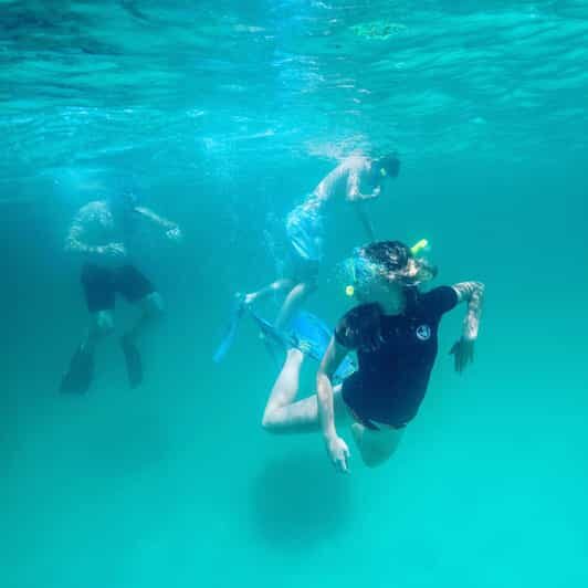 Destin: Snorkeling, Dolphins, and Crab Island - Who Should Consider This Tour?